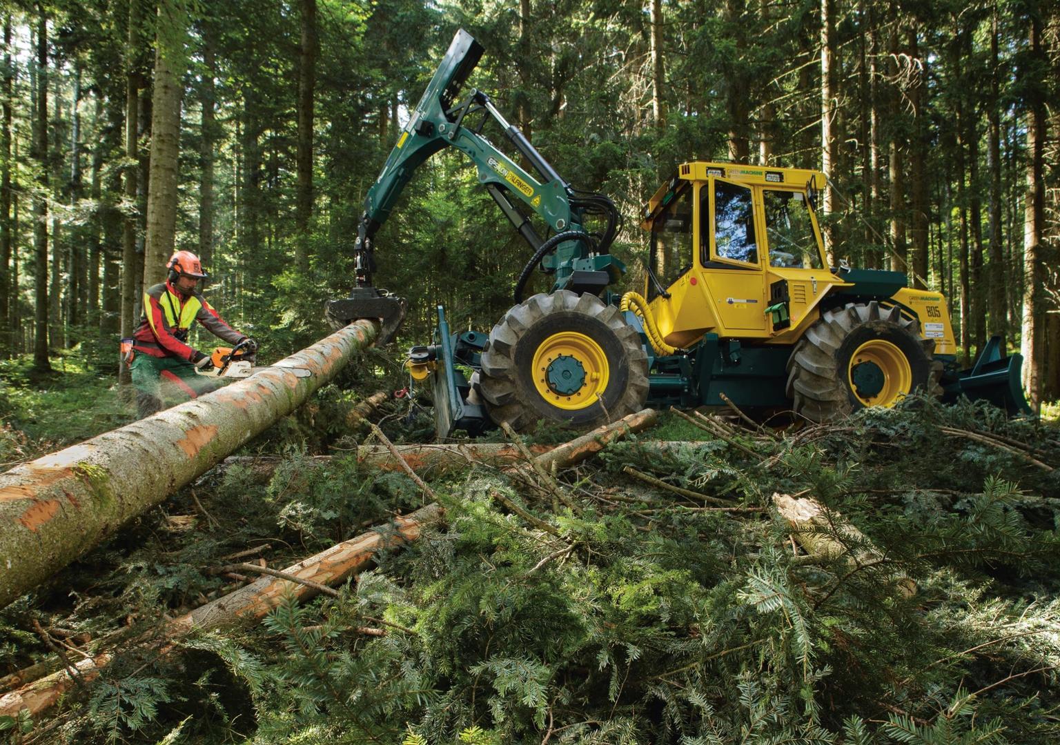Holzerntearbeiten gehören zu den gefährlichsten Arbeiten im Wald.Eine gute und aktuelle Ausbildung ist unerlässlich. (Quelle: www.suva.ch)