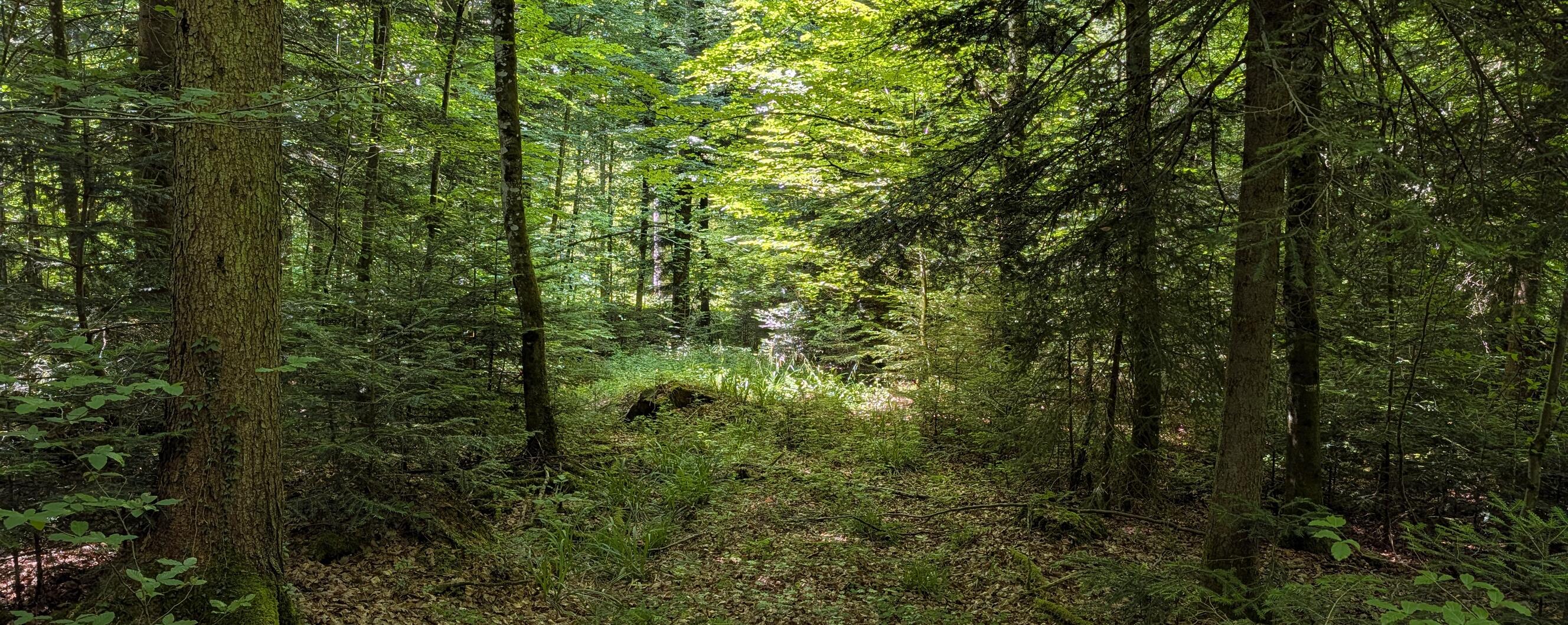 Aktuelles header image 1