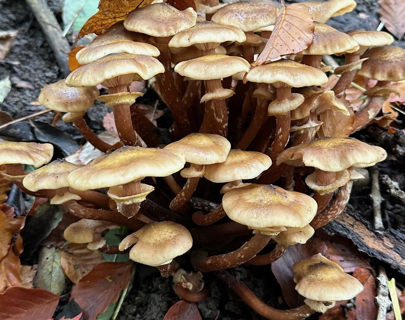 Informationen für Waldbesitzende header image 2