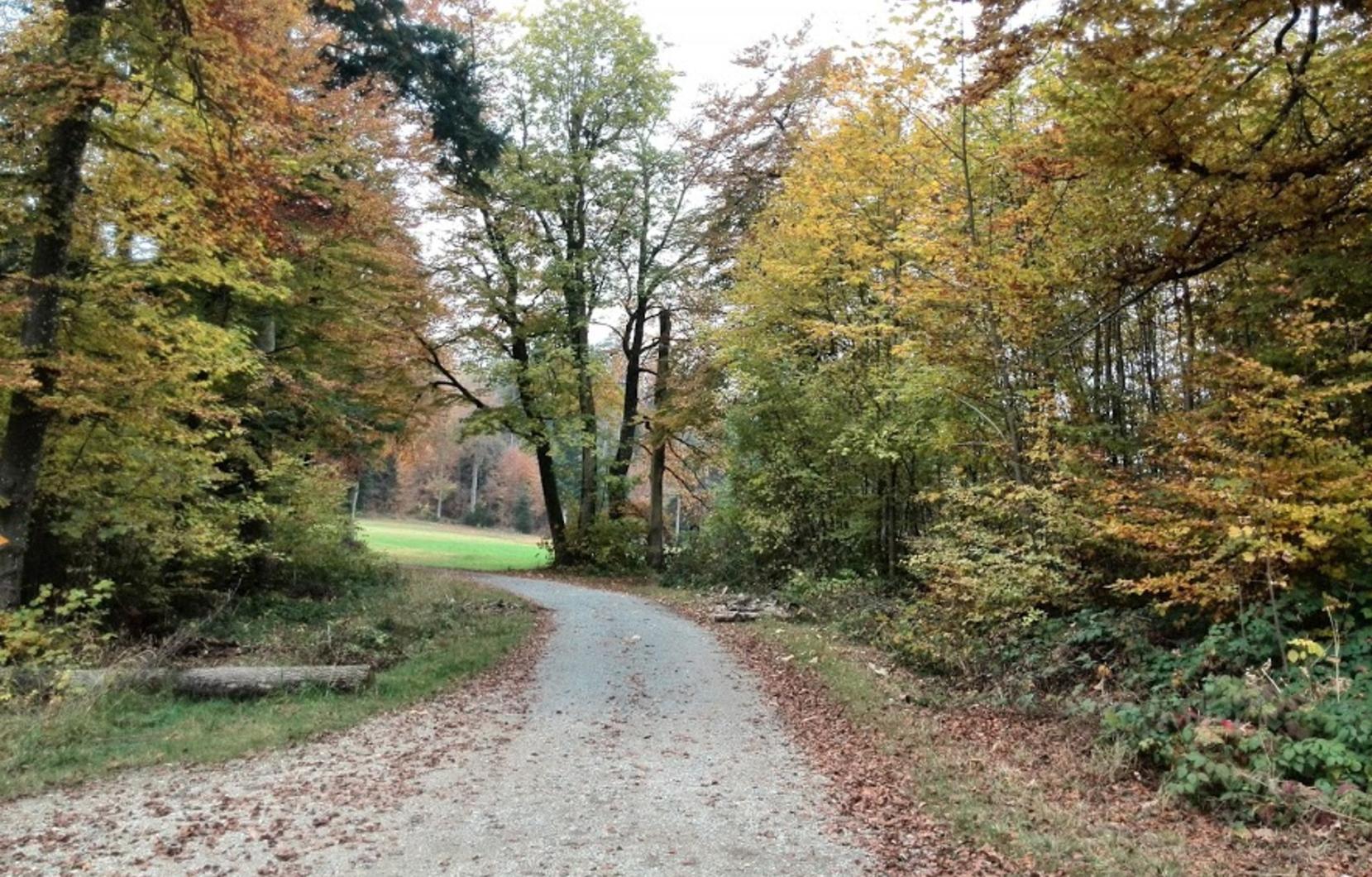 Aktuelles header image 1