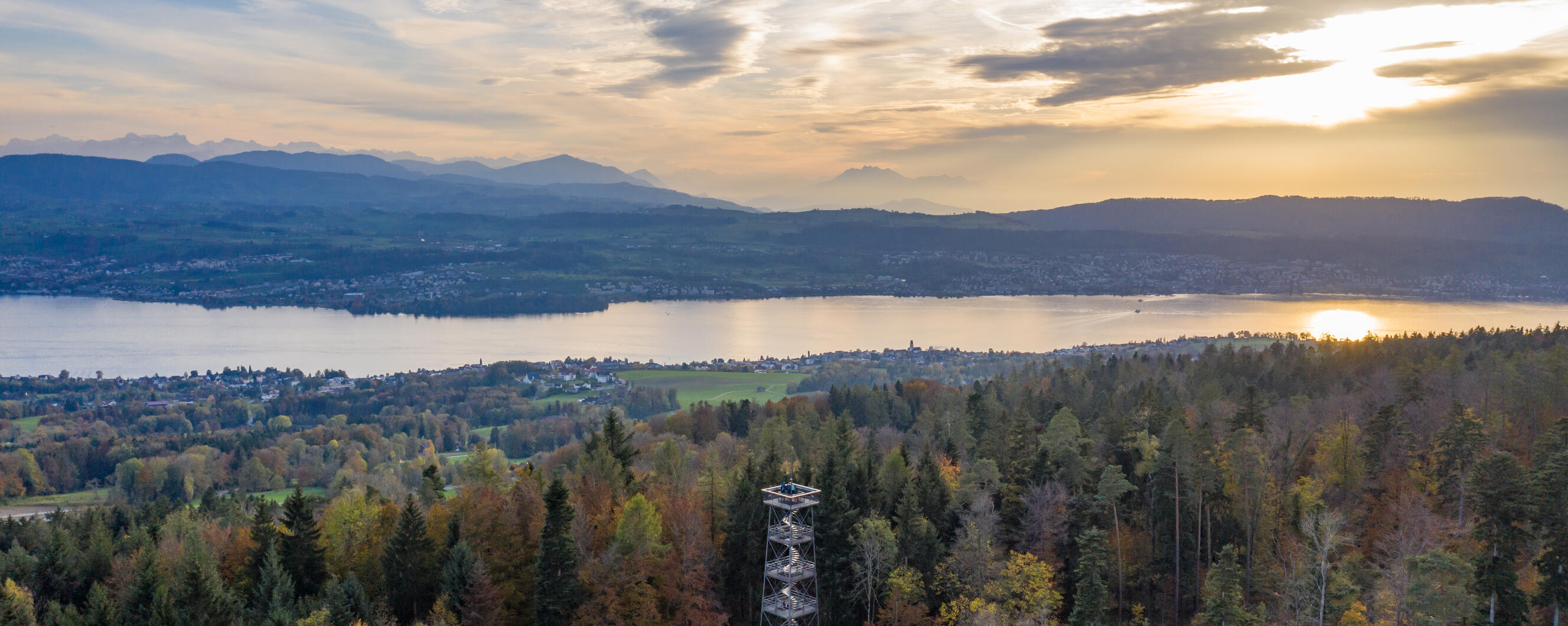 Informationen zum Forstrevier header image 1
