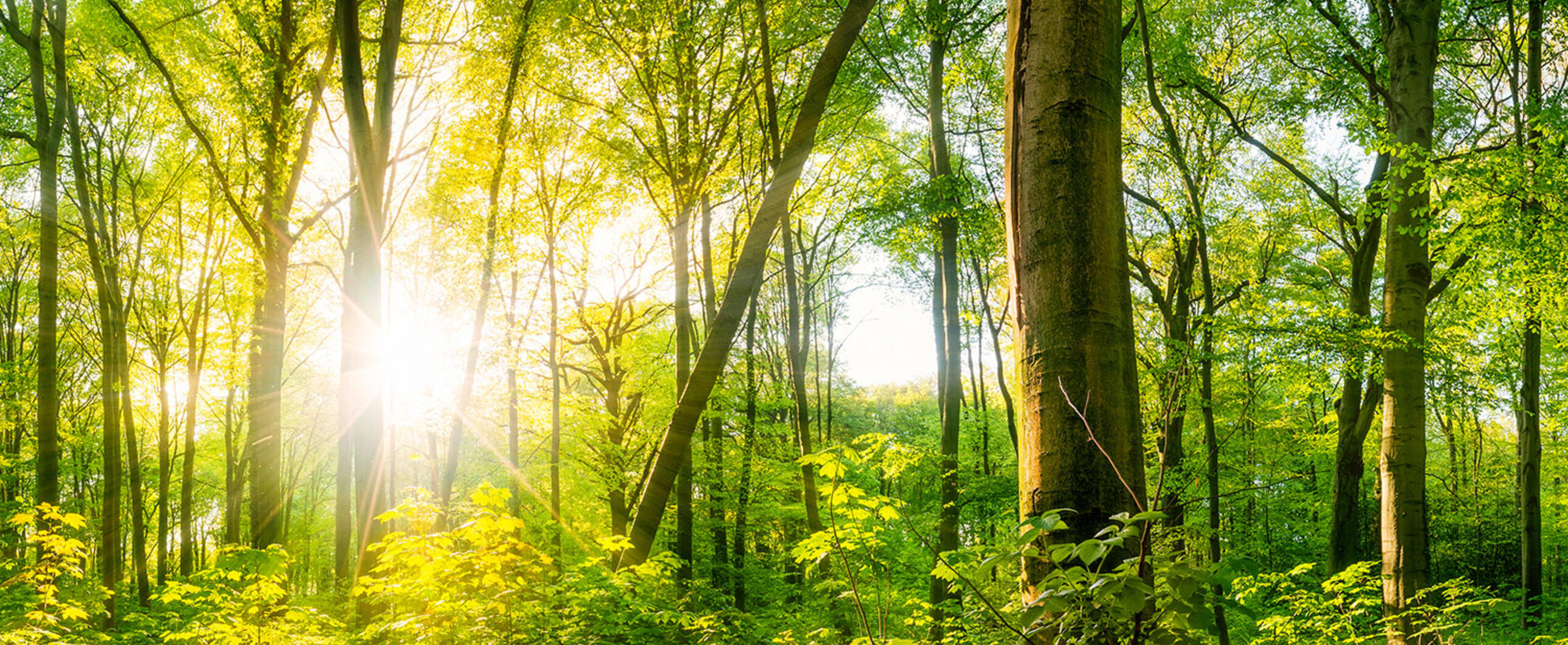 Kontakt header image 1