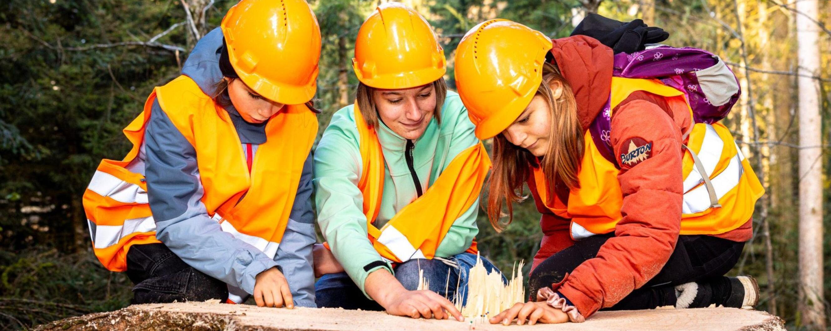 Zukunftstag 2026 - Entdecke die Waldberufe header image 1